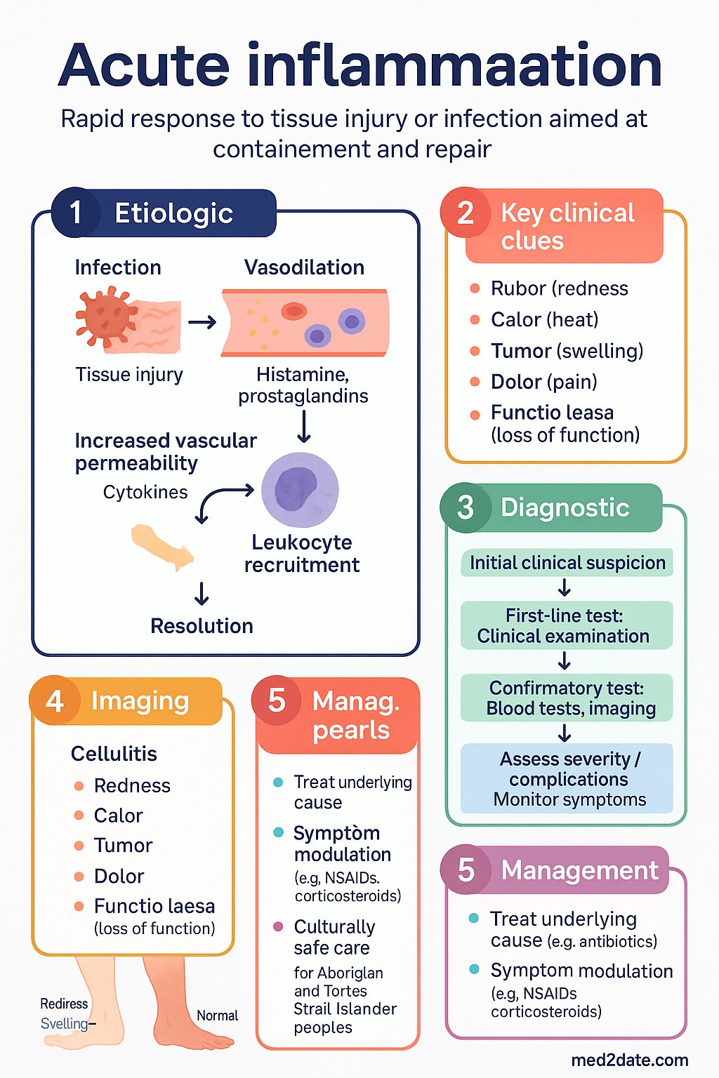 Acute Inflammation clinical infographic — pathophysiology, clinical clues, diagnosis, imaging, and management
