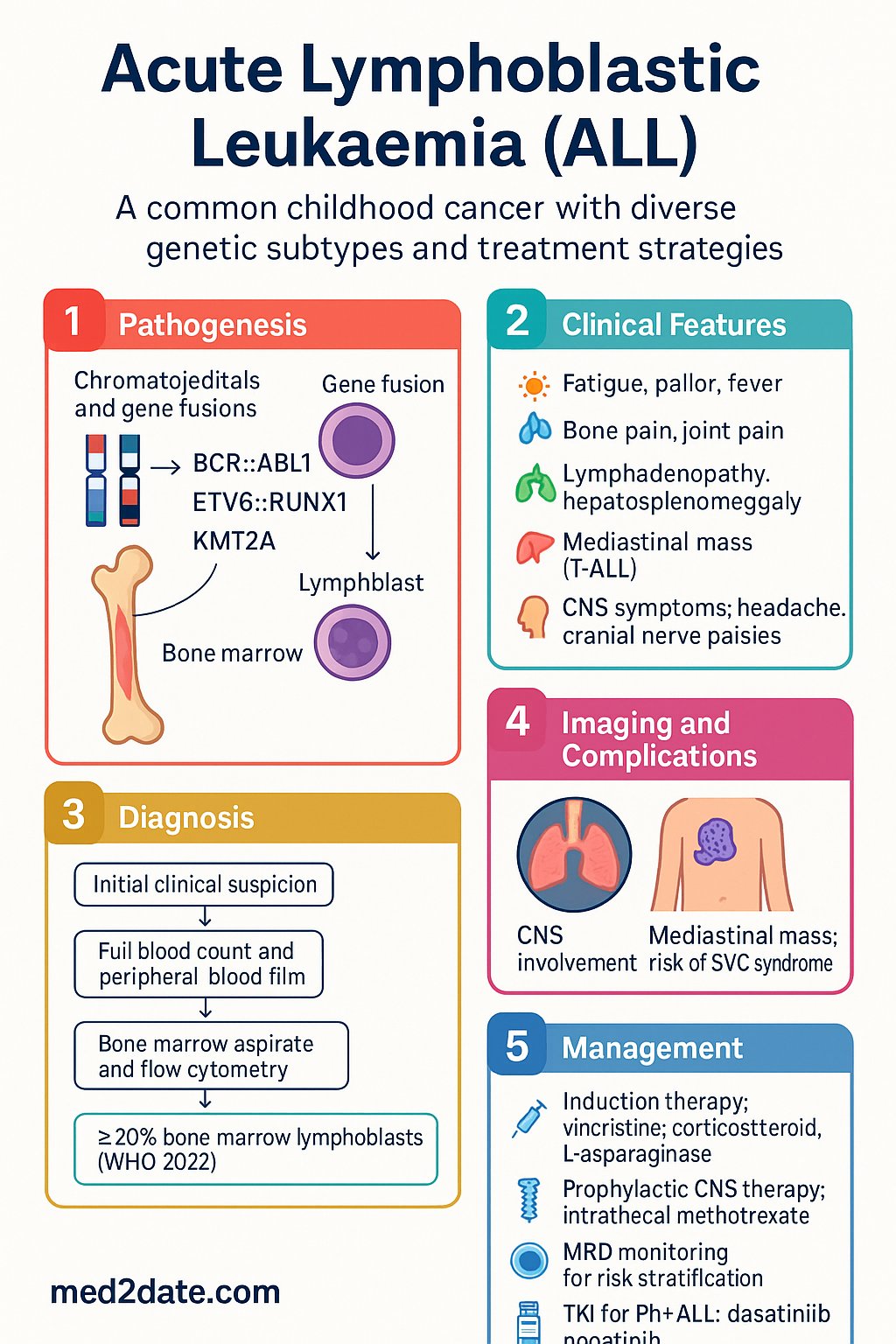 Acute Lymphoblastic Leukaemia (ALL) clinical infographic — pathophysiology, clinical clues, diagnosis, imaging, and management