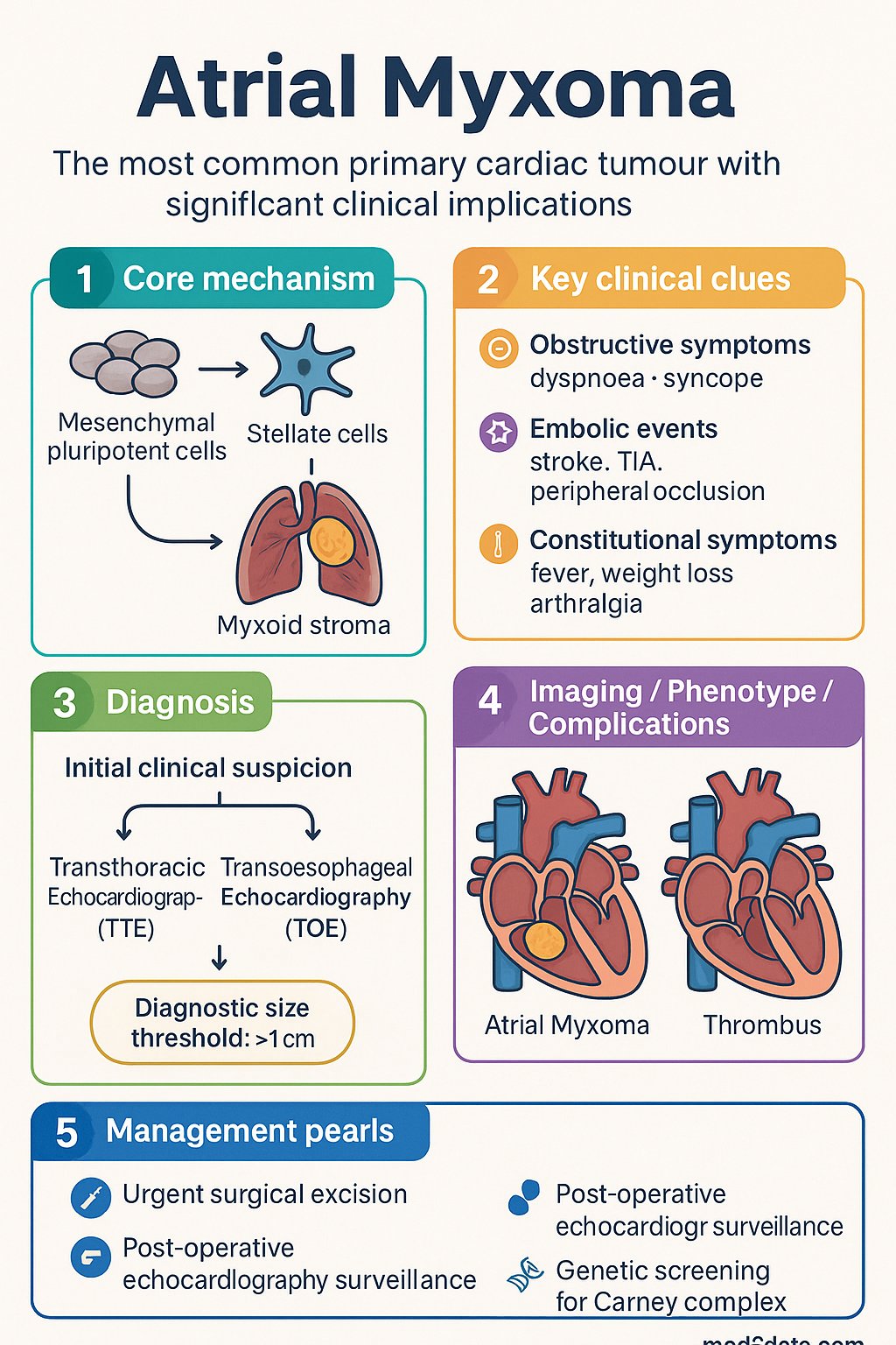 Atrial Myxoma clinical infographic — pathophysiology, clinical clues, diagnosis, imaging, and management