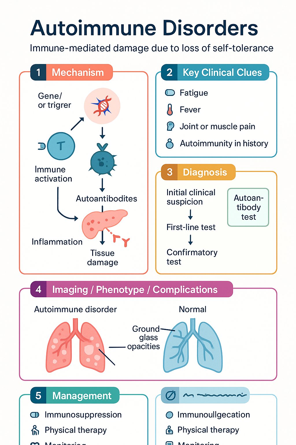 Autoimmune Disorders clinical infographic — pathophysiology, clinical clues, diagnosis, imaging, and management