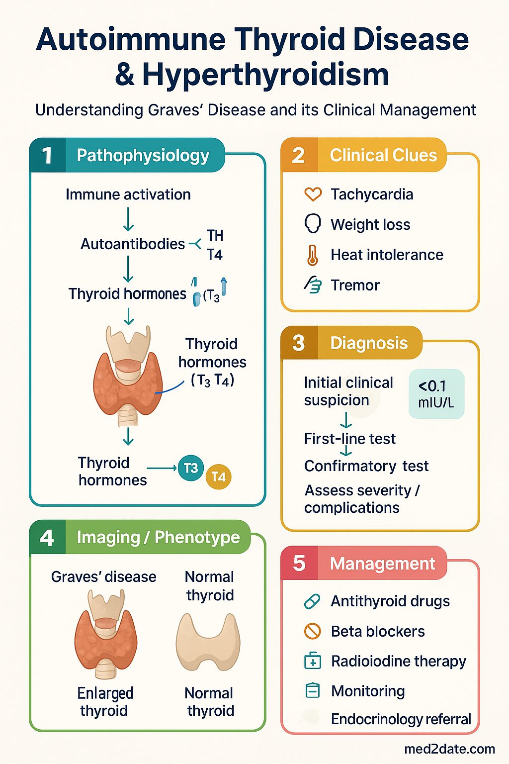 Autoimmune Thyroid Disease & Hyperthyroidism clinical infographic — pathophysiology, clinical clues, diagnosis, imaging, and management