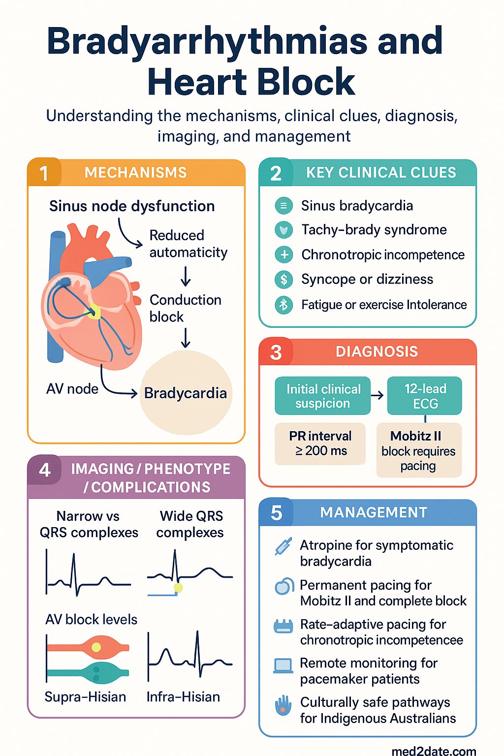 Bradyarrhythmias and Heart Block clinical infographic — pathophysiology, clinical clues, diagnosis, imaging, and management
