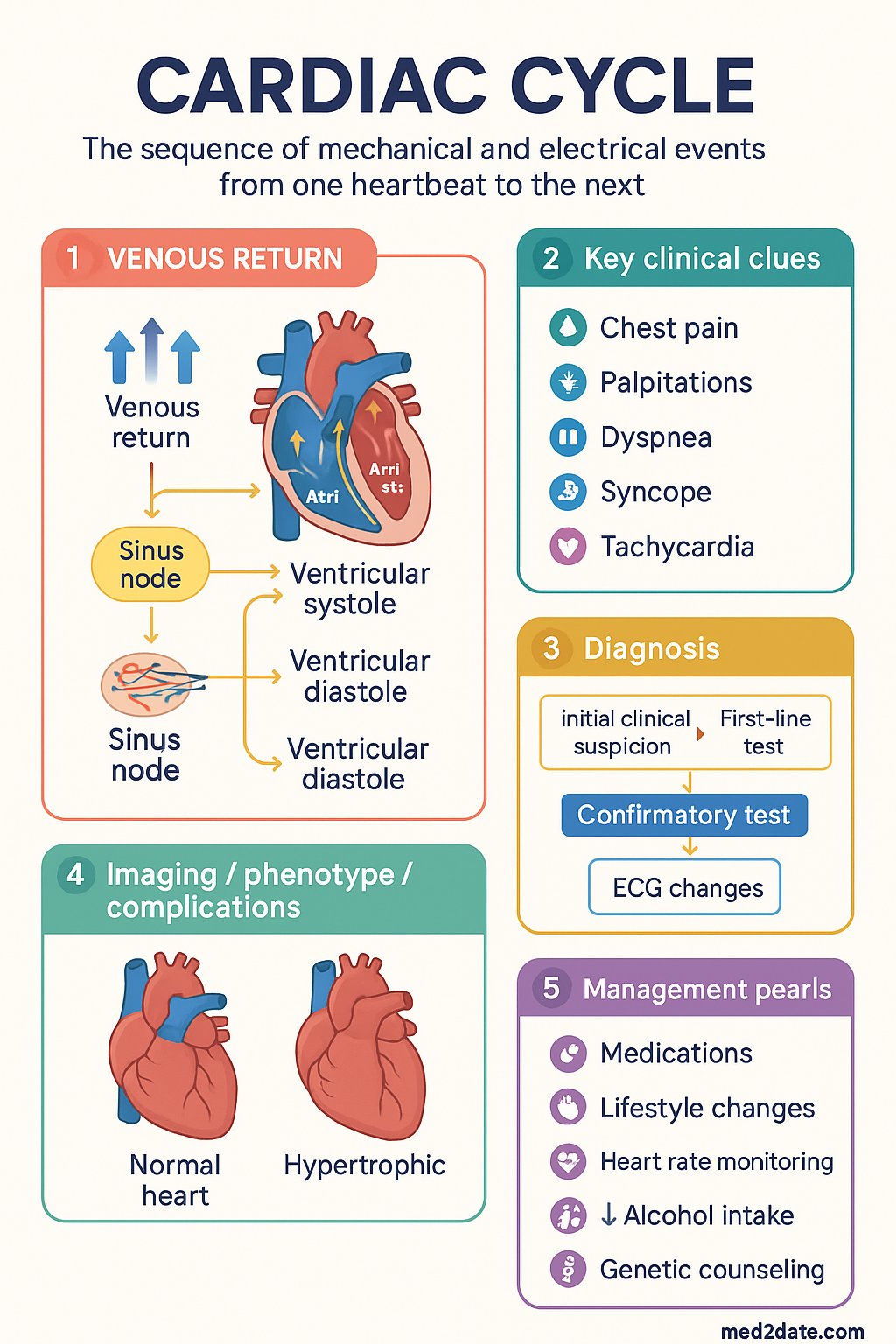 Cardiac Cycle clinical infographic — pathophysiology, clinical clues, diagnosis, imaging, and management