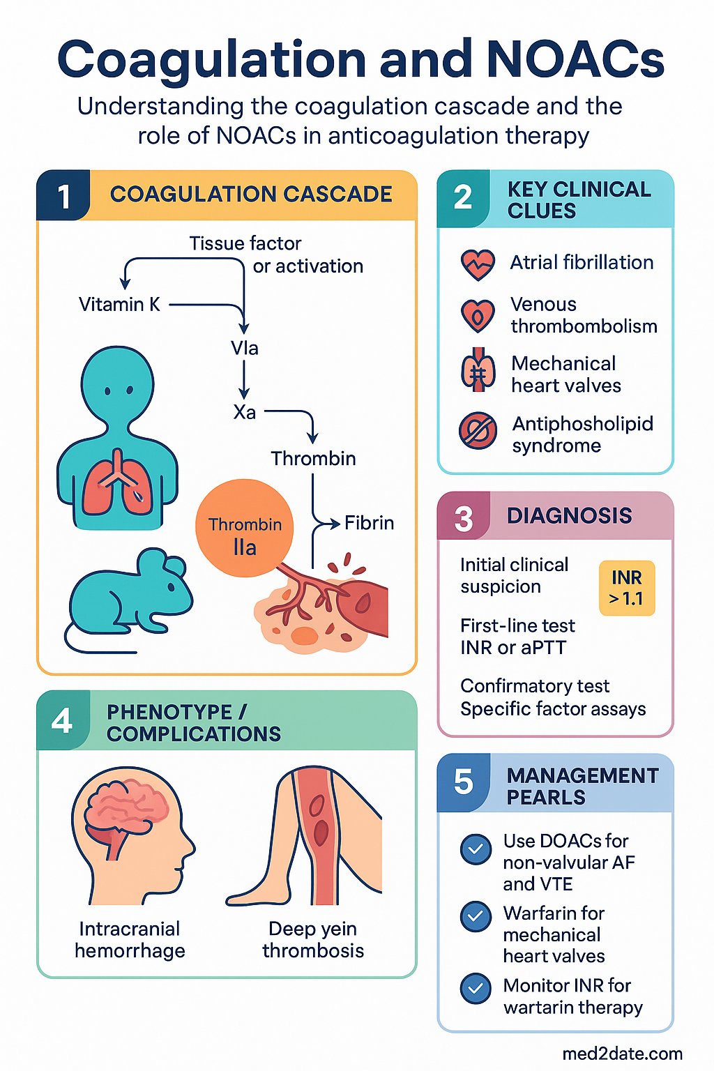 Coagulation and NOACs clinical infographic — pathophysiology, clinical clues, diagnosis, imaging, and management