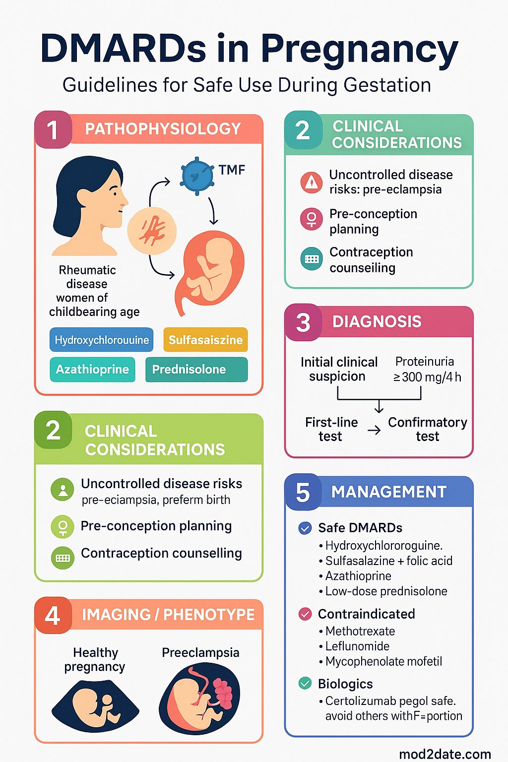 DMARDs in Pregnancy clinical infographic — pathophysiology, clinical clues, diagnosis, imaging, and management