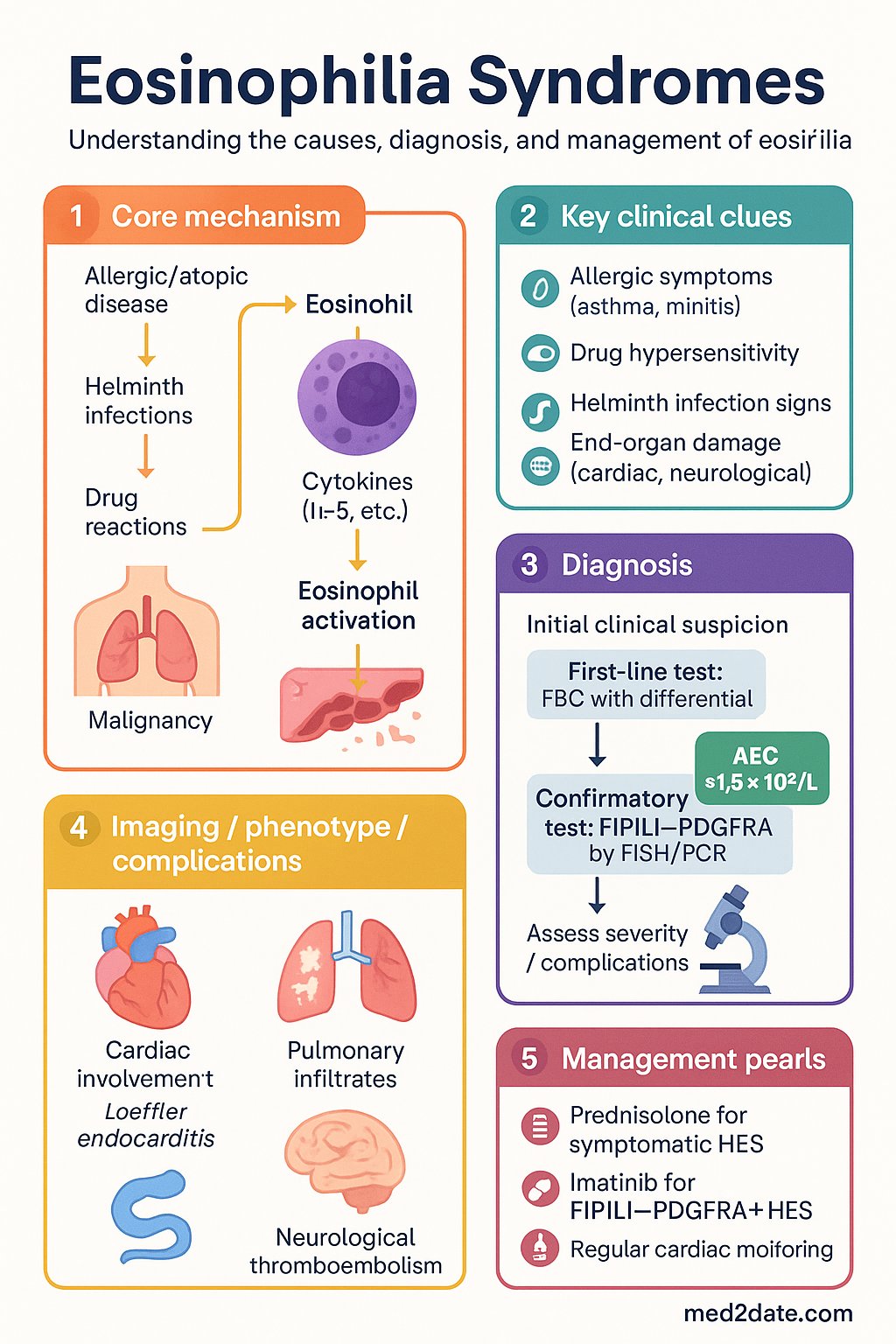 Eosinophilia Syndromes clinical infographic — pathophysiology, clinical clues, diagnosis, imaging, and management