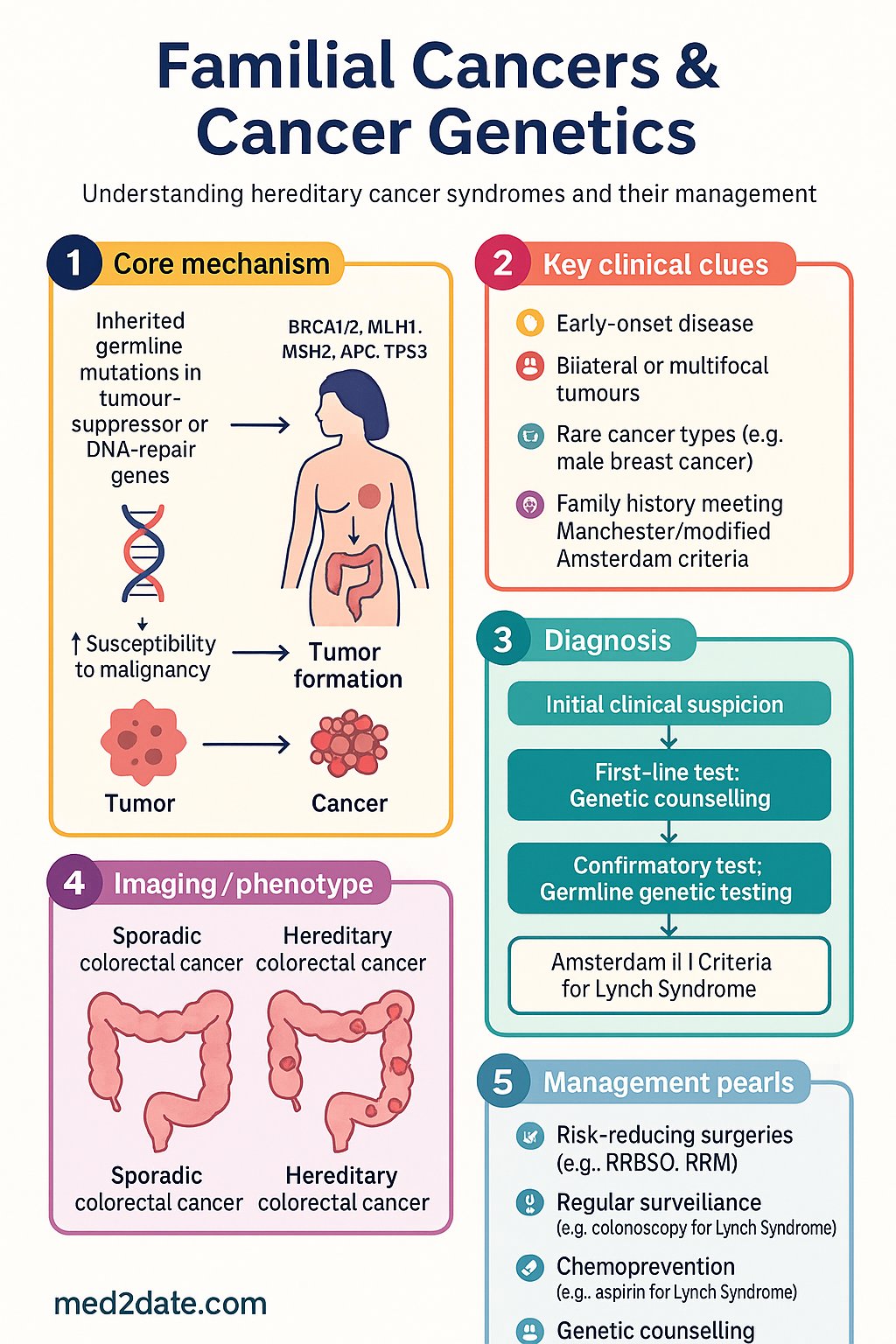 Familial Cancers & Cancer Genetics clinical infographic — pathophysiology, clinical clues, diagnosis, imaging, and management
