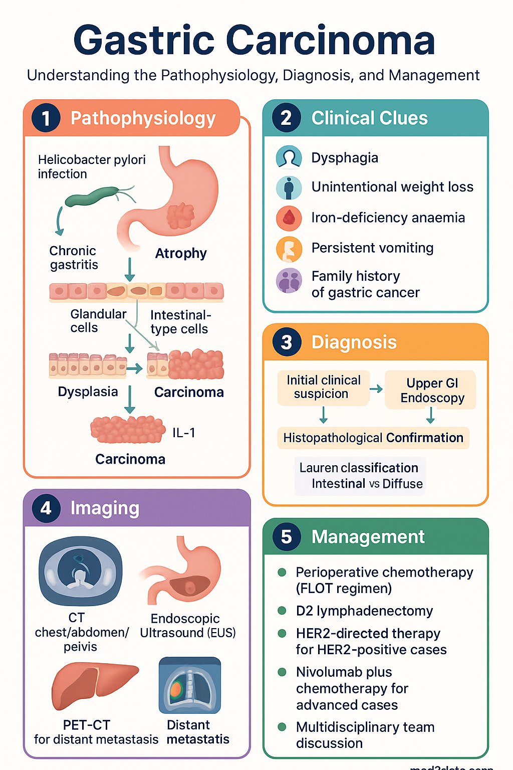 Gastric Carcinoma clinical infographic — pathophysiology, clinical clues, diagnosis, imaging, and management