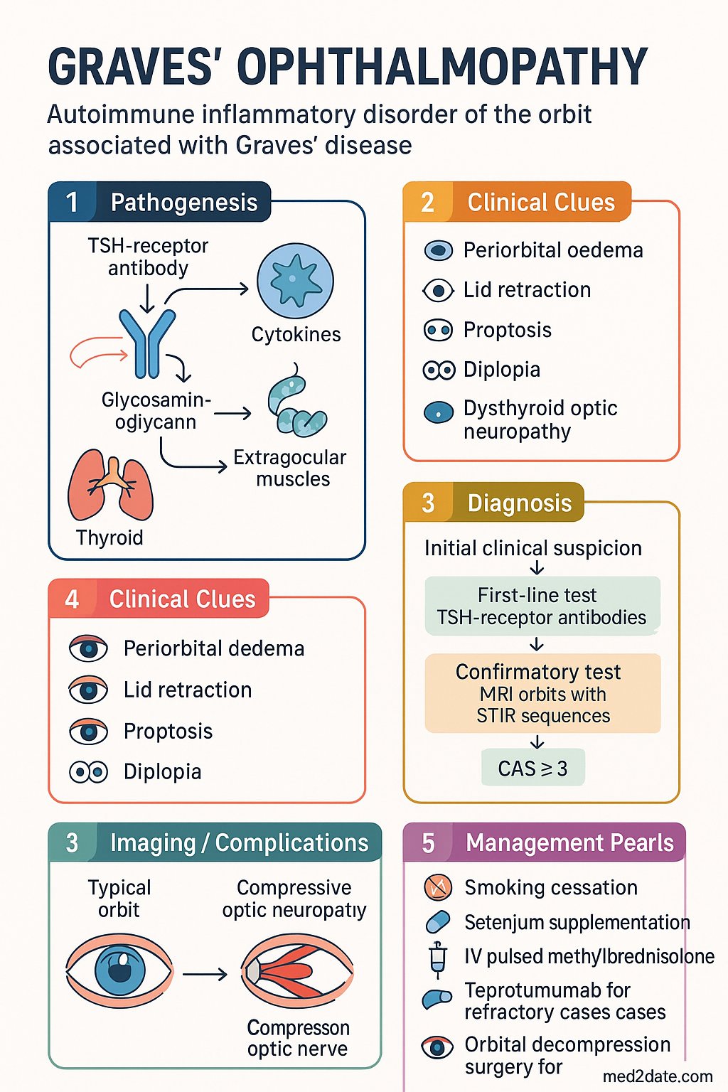 Graves' Ophthalmopathy clinical infographic — pathophysiology, clinical clues, diagnosis, imaging, and management
