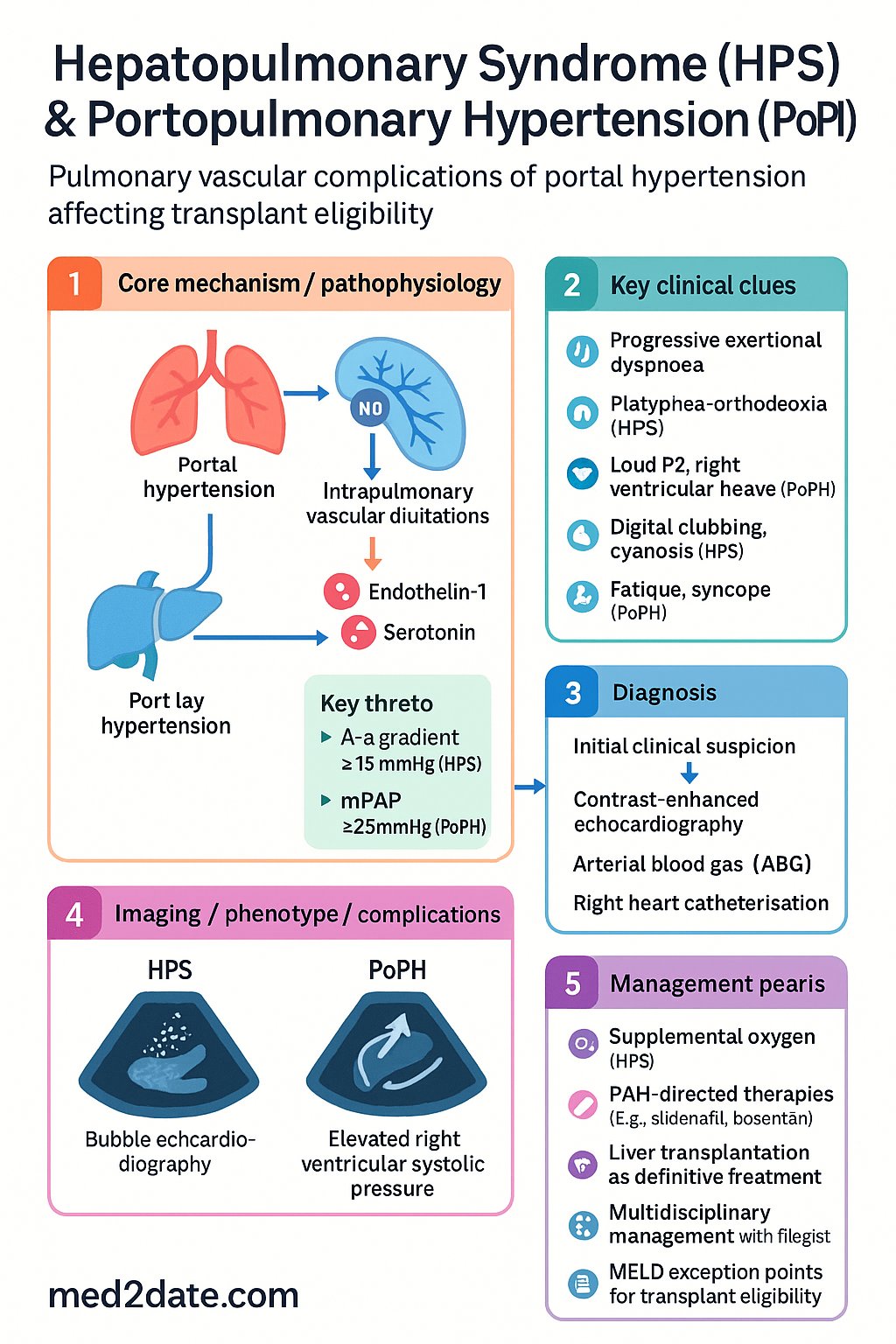Hepatopulmonary Syndrome (HPS) & Portopulmonary Hypertension clinical infographic — pathophysiology, clinical clues, diagnosis, imaging, and management