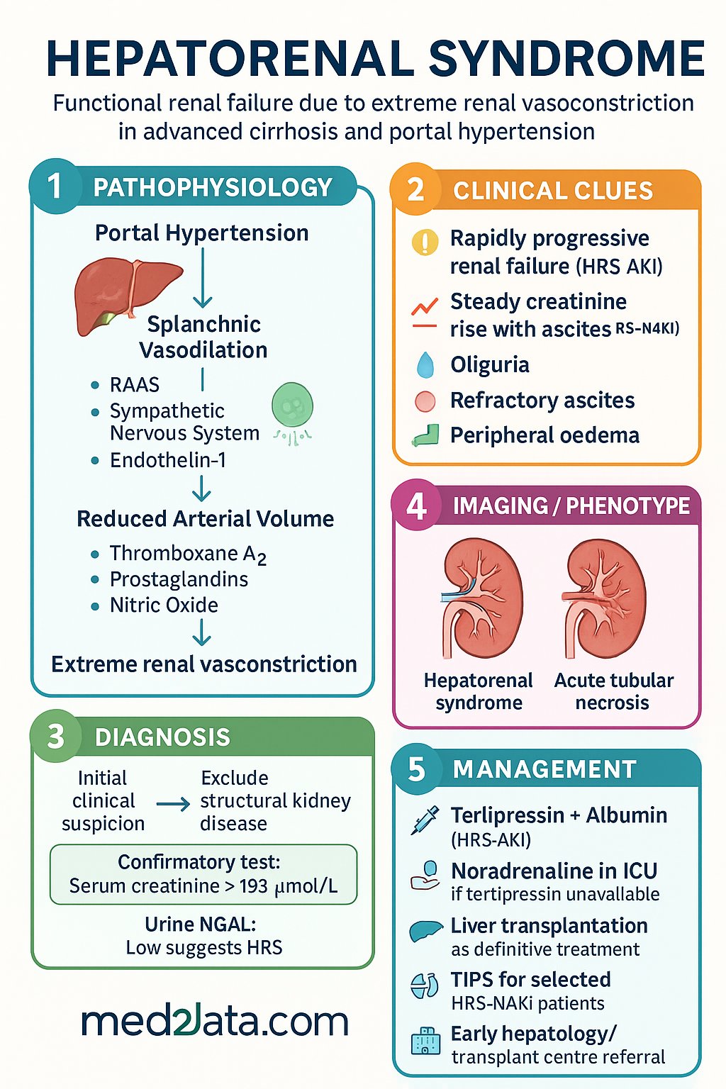 Hepatorenal Syndrome clinical infographic — pathophysiology, clinical clues, diagnosis, imaging, and management
