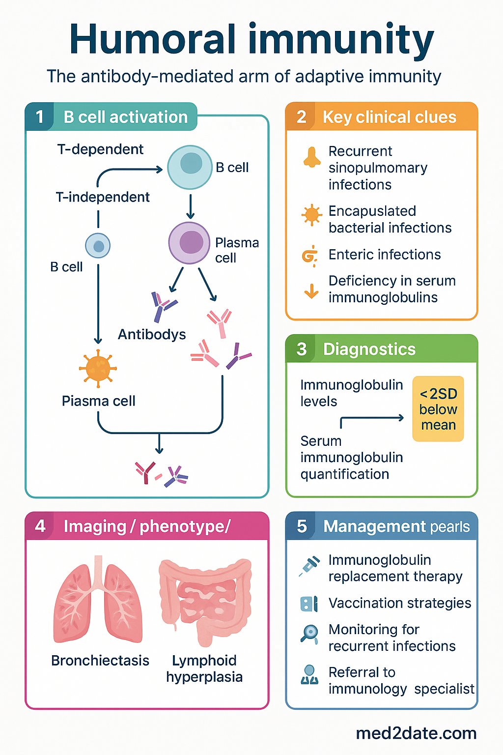 Humoral Immunity clinical infographic — pathophysiology, clinical clues, diagnosis, imaging, and management