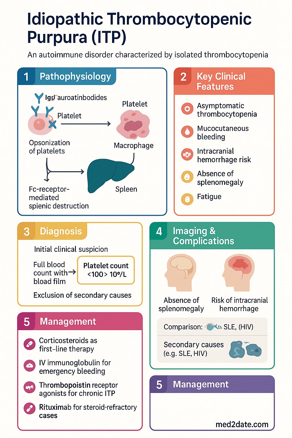Idiopathic Thrombocytopenic Purpura (ITP) clinical infographic — pathophysiology, clinical clues, diagnosis, imaging, and management