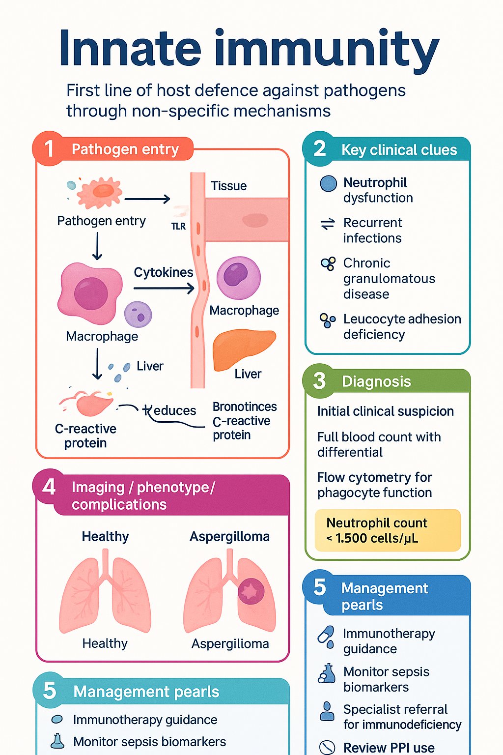 Innate Immunity clinical infographic — pathophysiology, clinical clues, diagnosis, imaging, and management