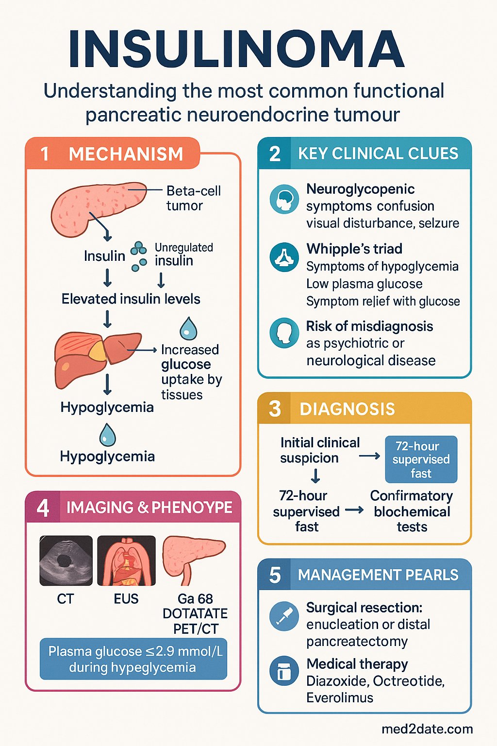 Insulinoma clinical infographic — pathophysiology, clinical clues, diagnosis, imaging, and management