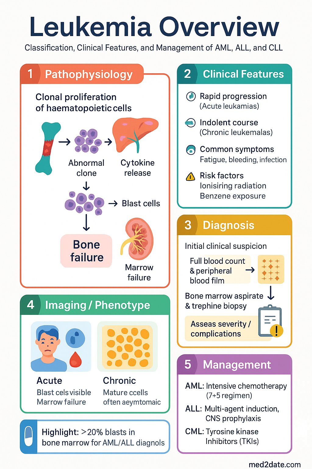Leukemia Overview (AML ALL CML CLL) clinical infographic — pathophysiology, clinical clues, diagnosis, imaging, and management