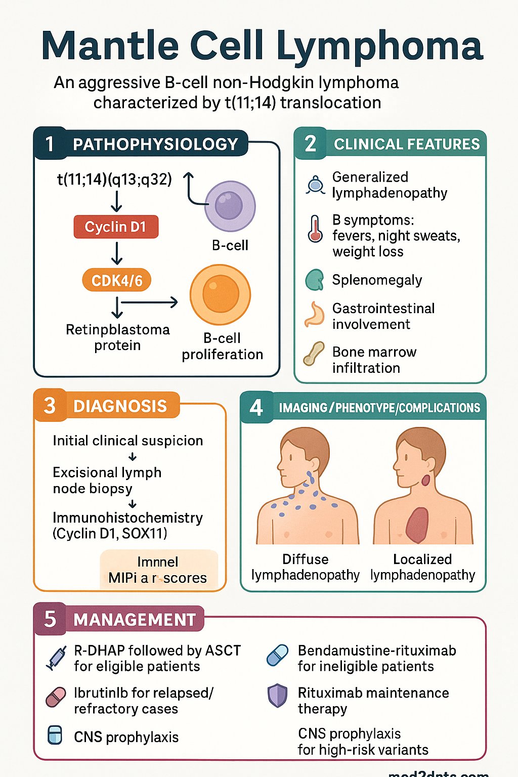 Mantle Cell Lymphoma clinical infographic — pathophysiology, clinical clues, diagnosis, imaging, and management