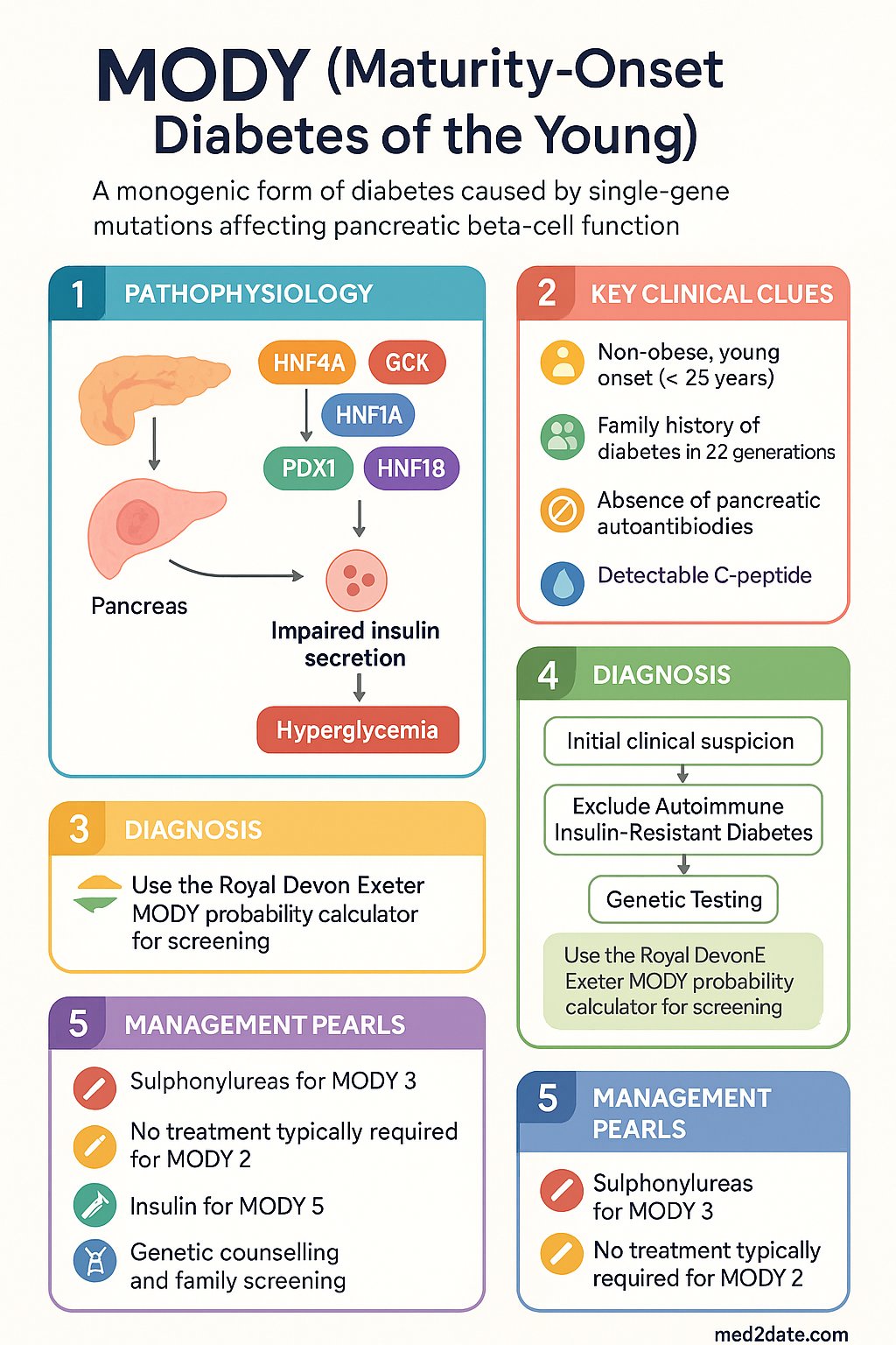 MODY (Maturity-Onset Diabetes of the Young) clinical infographic — pathophysiology, clinical clues, diagnosis, imaging, and management