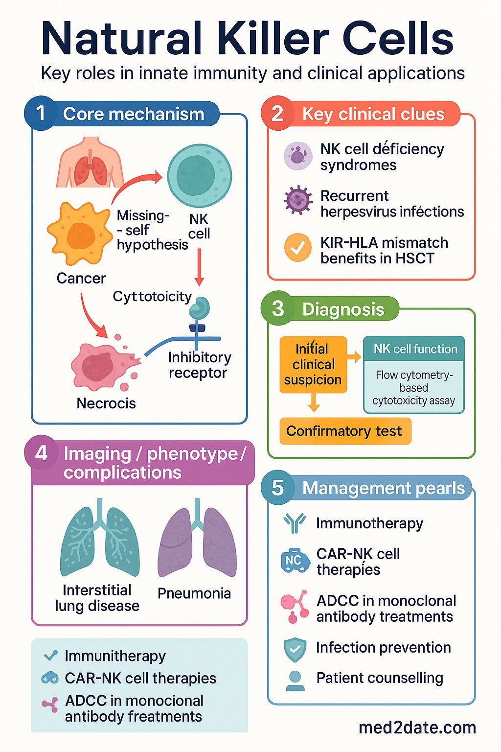 Natural Killer Cells clinical infographic — pathophysiology, clinical clues, diagnosis, imaging, and management