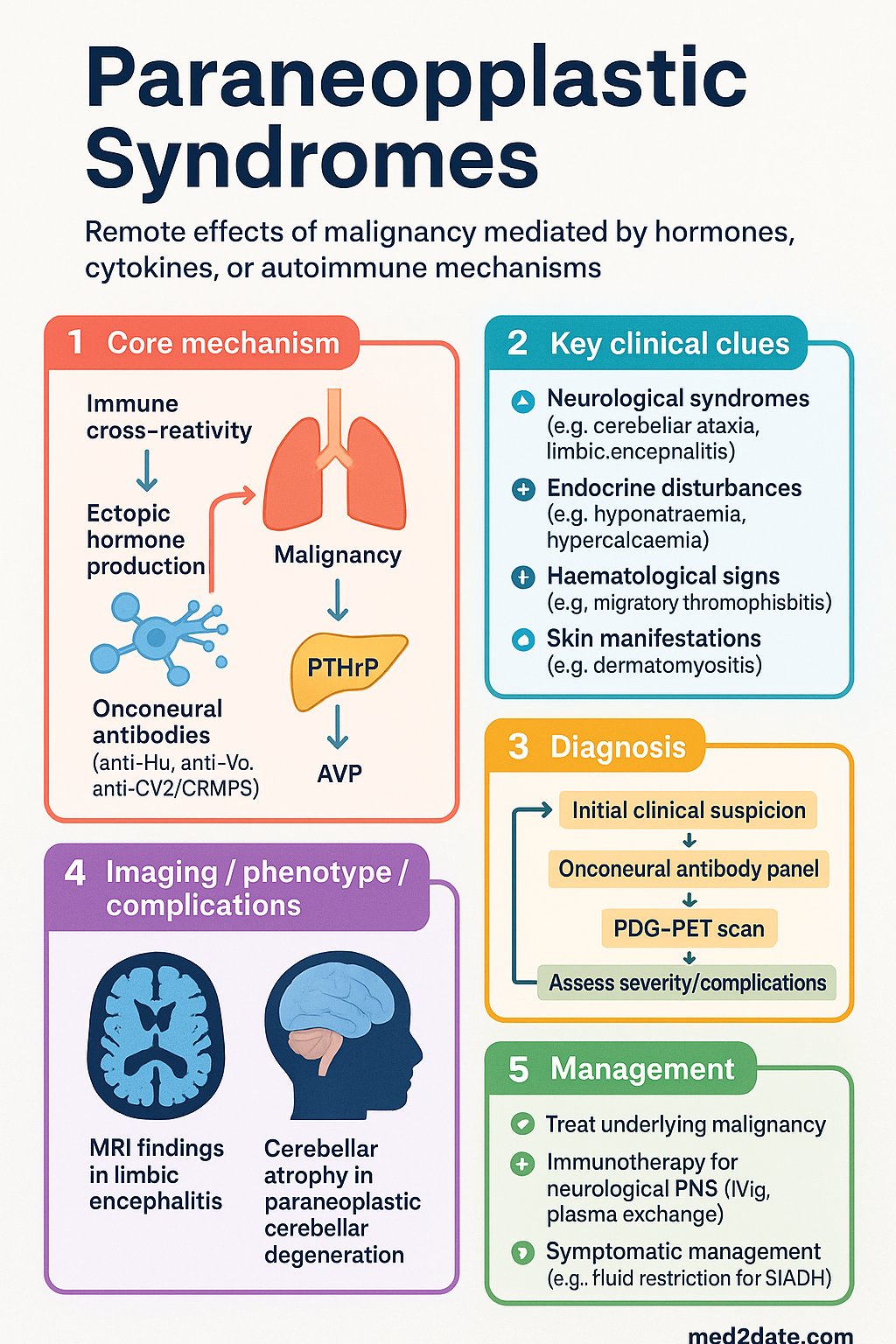 Paraneoplastic Syndromes clinical infographic — pathophysiology, clinical clues, diagnosis, imaging, and management