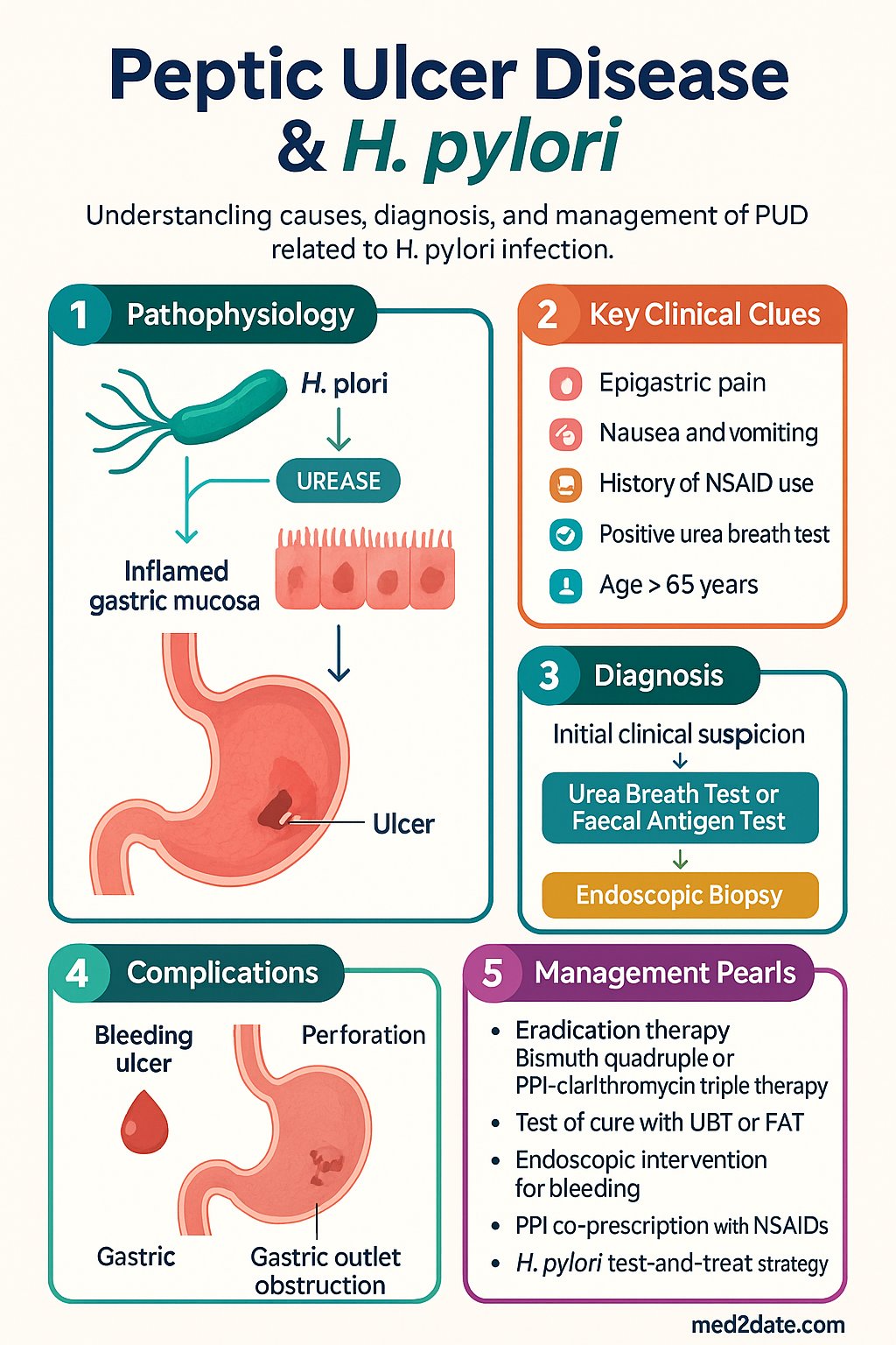 Peptic Ulcer Disease & H. pylori clinical infographic — pathophysiology, clinical clues, diagnosis, imaging, and management