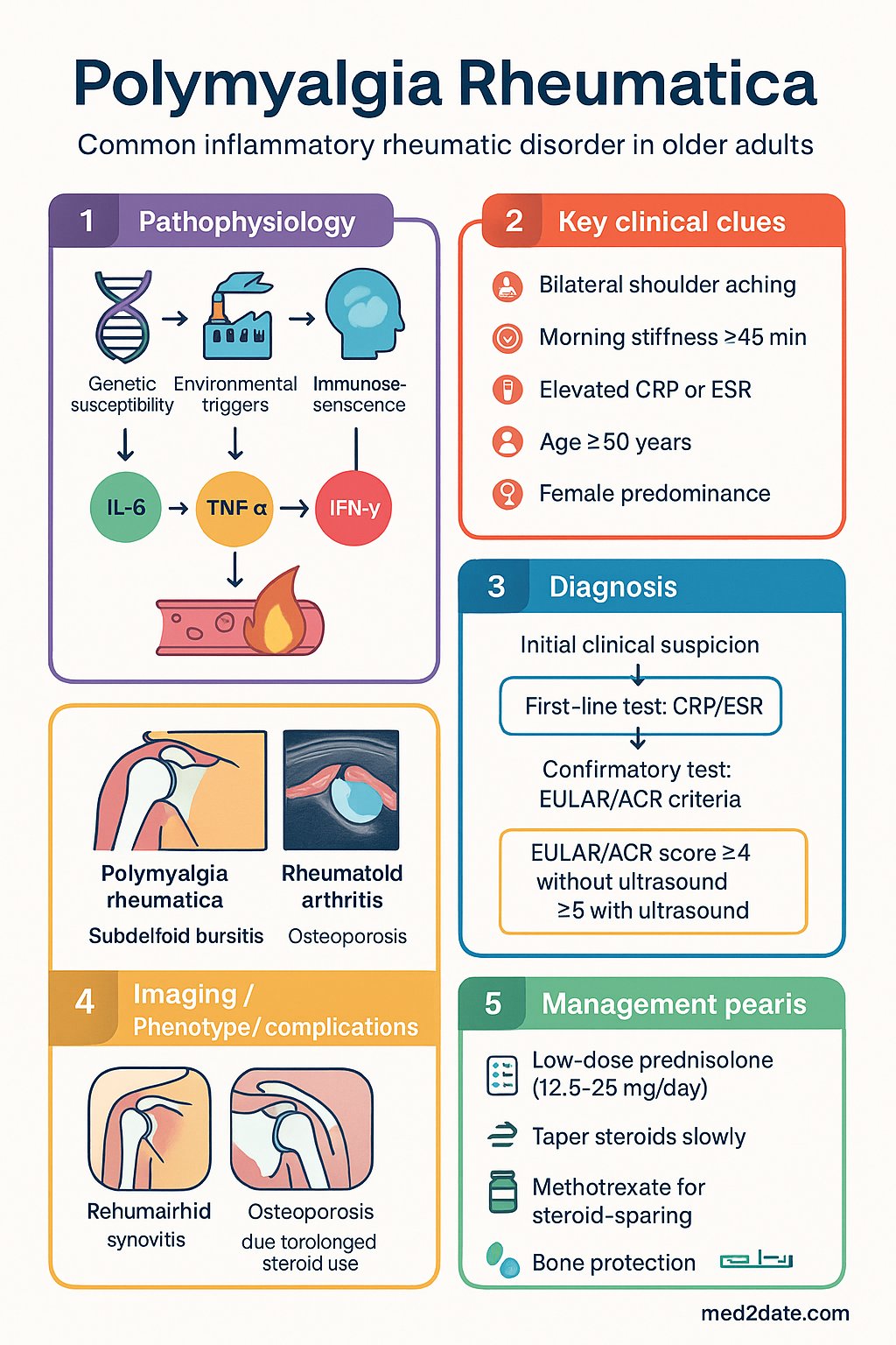 Polymyalgia Rheumatica clinical infographic — pathophysiology, clinical clues, diagnosis, imaging, and management