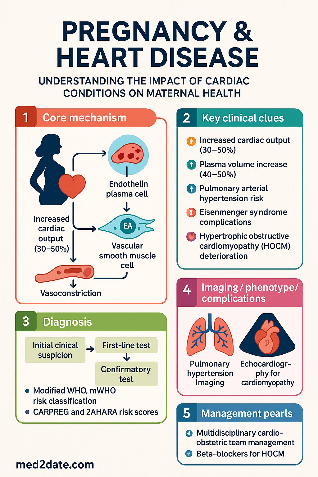 Pregnancy & Heart Disease clinical infographic — pathophysiology, clinical clues, diagnosis, imaging, and management
