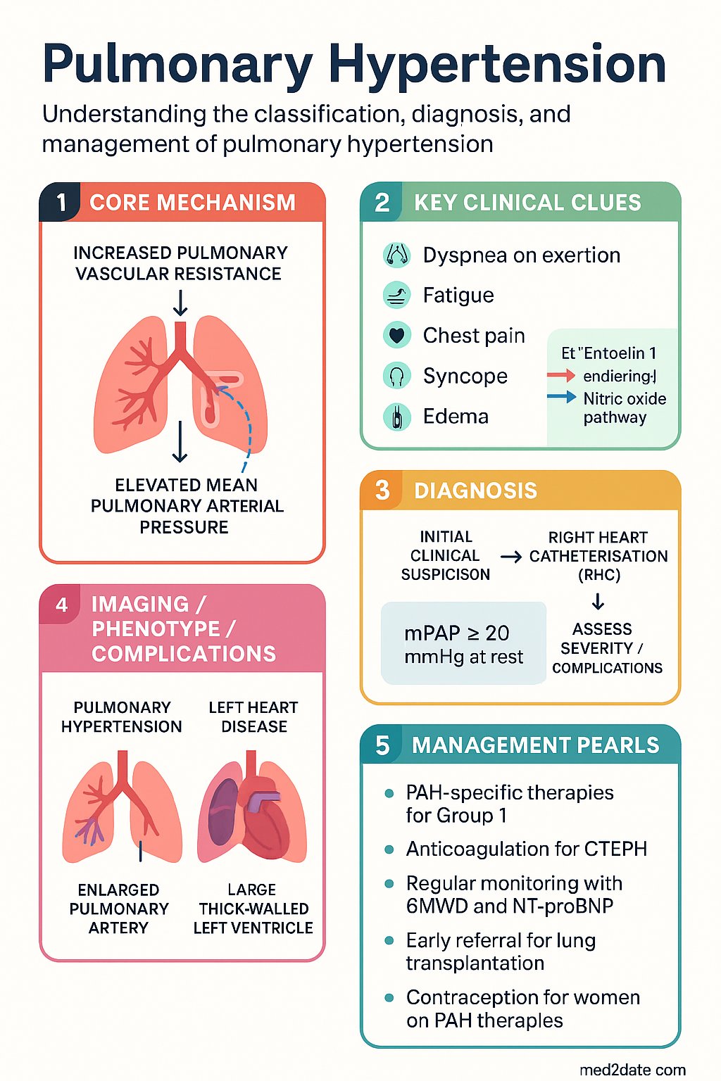 Pulmonary Hypertension clinical infographic — pathophysiology, clinical clues, diagnosis, imaging, and management