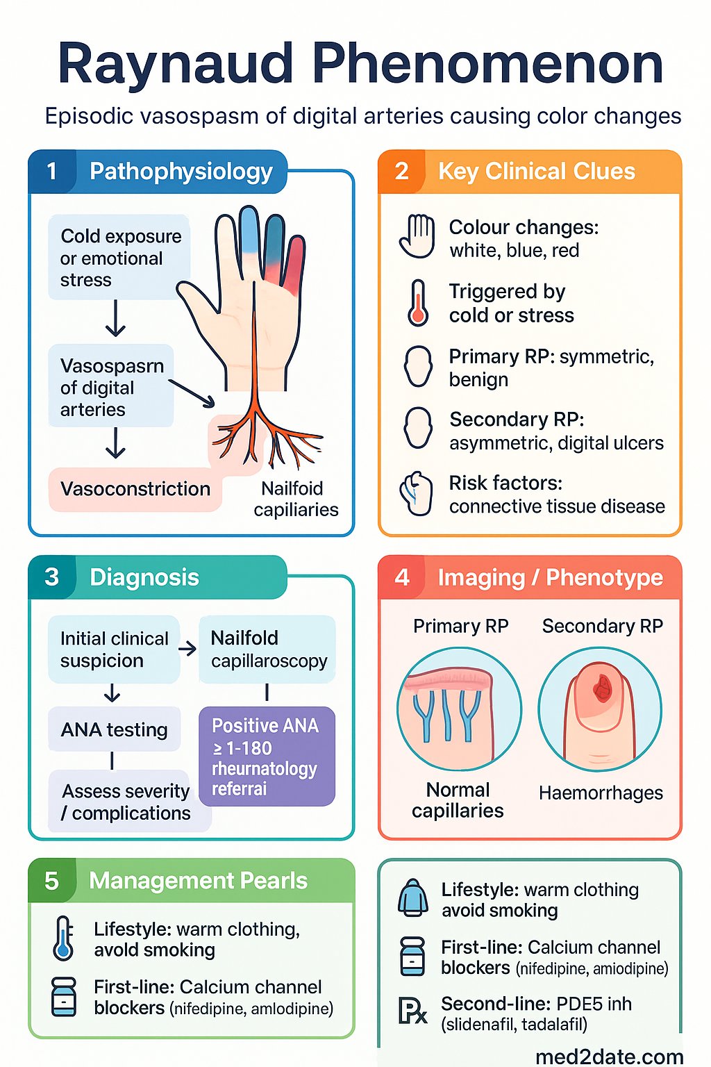 Raynaud Phenomenon clinical infographic — pathophysiology, clinical clues, diagnosis, imaging, and management