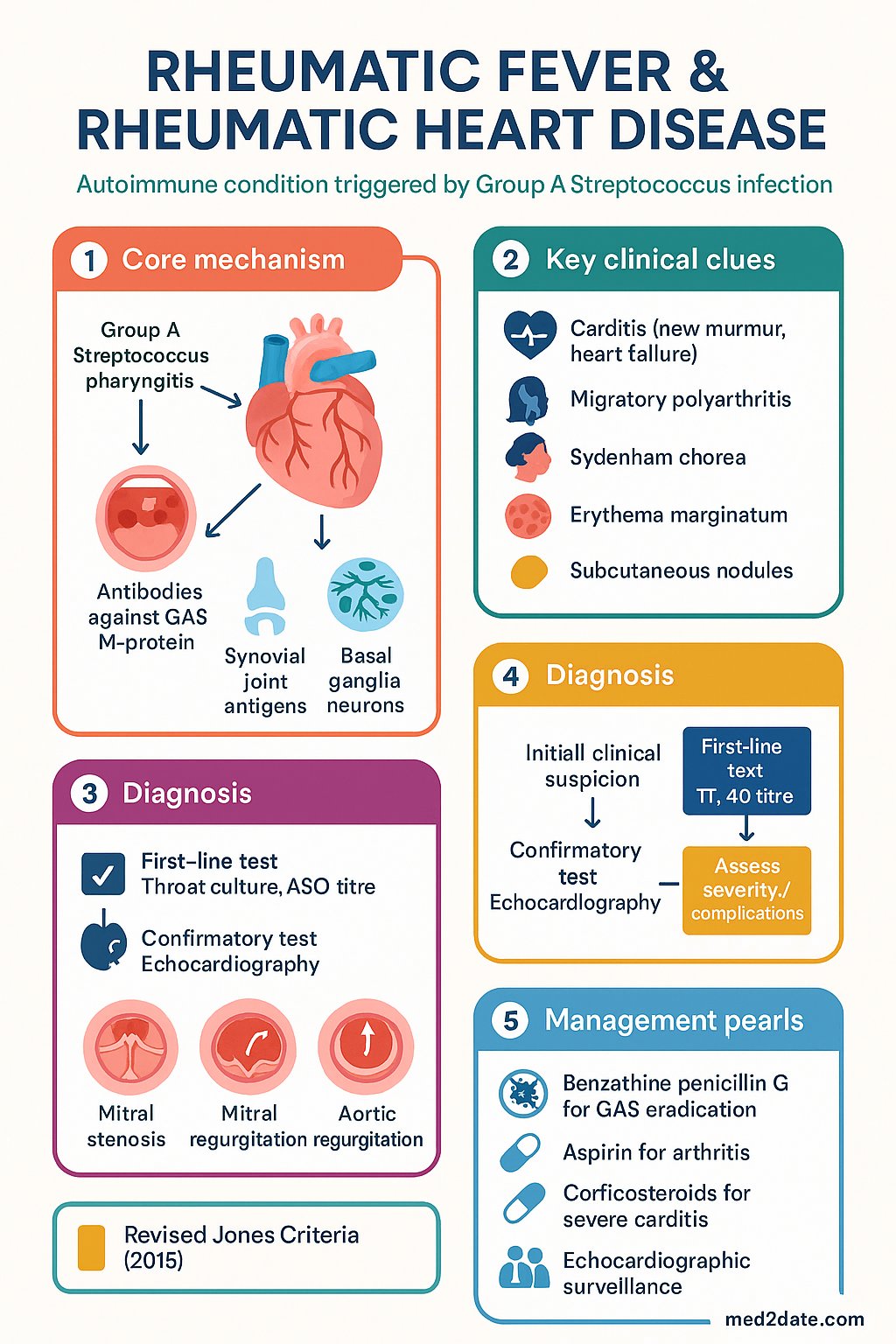 Rheumatic Fever & Rheumatic Heart Disease clinical infographic — pathophysiology, clinical clues, diagnosis, imaging, and management