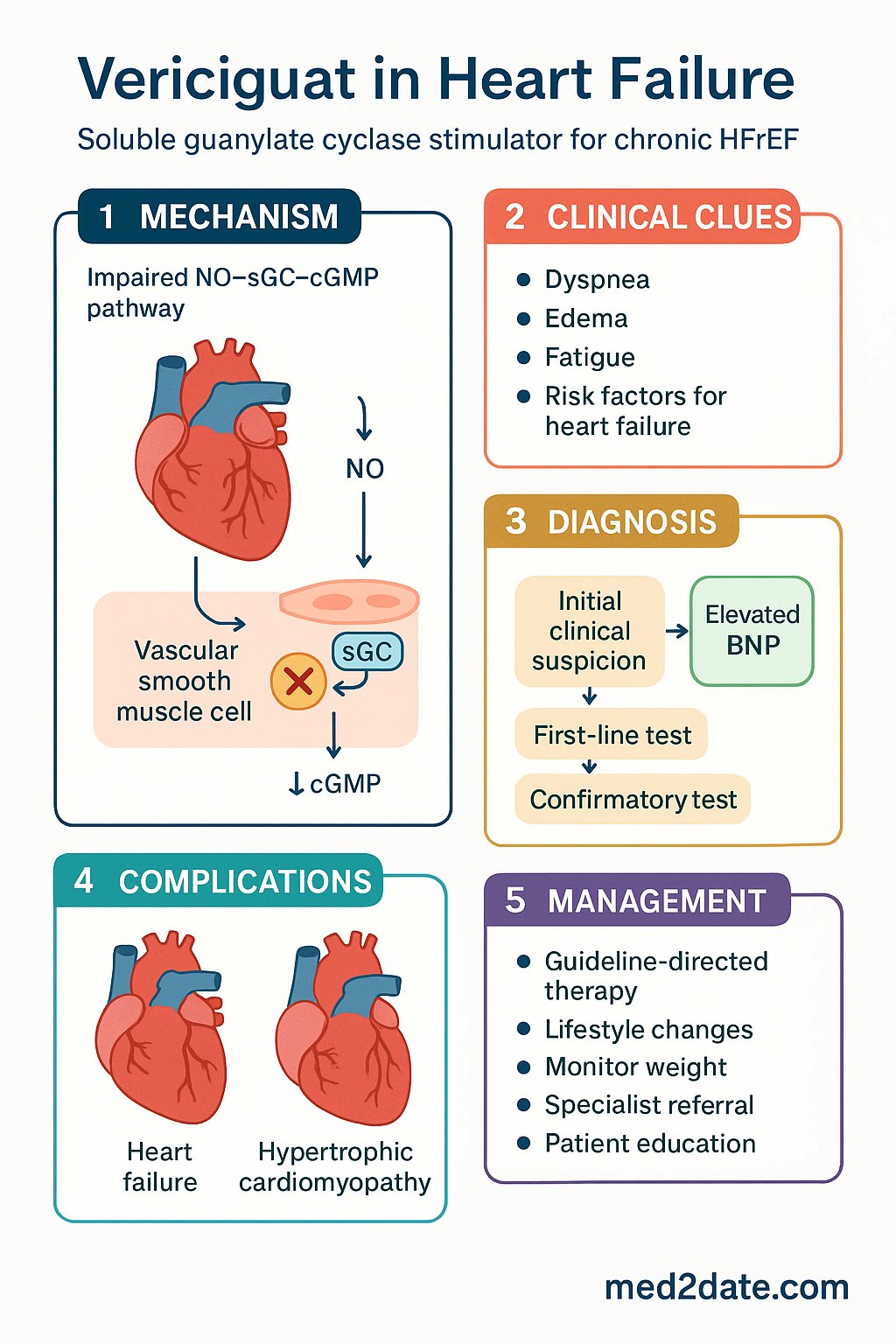 Vericiguat in Heart Failure clinical infographic — pathophysiology, clinical clues, diagnosis, imaging, and management