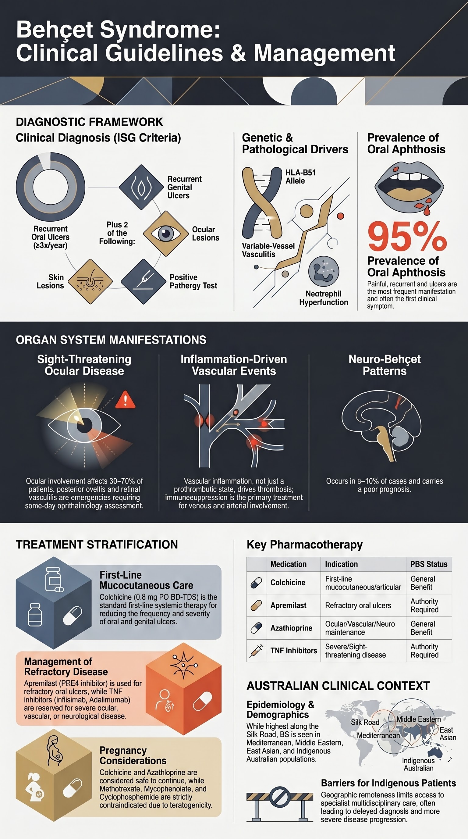 Behcet Syndrome visual summary infographic