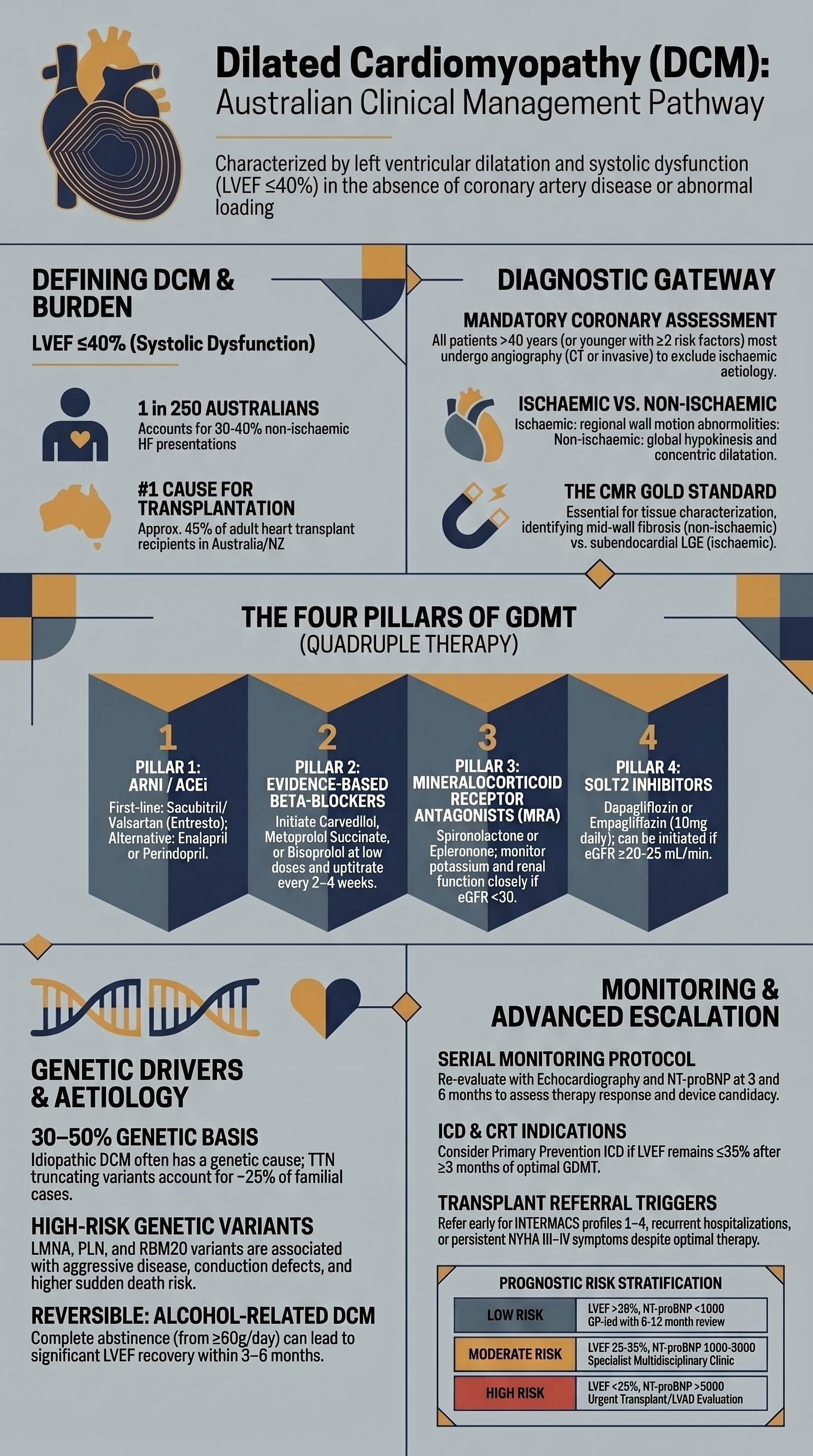 Dilated Cardiomyopathy visual summary infographic