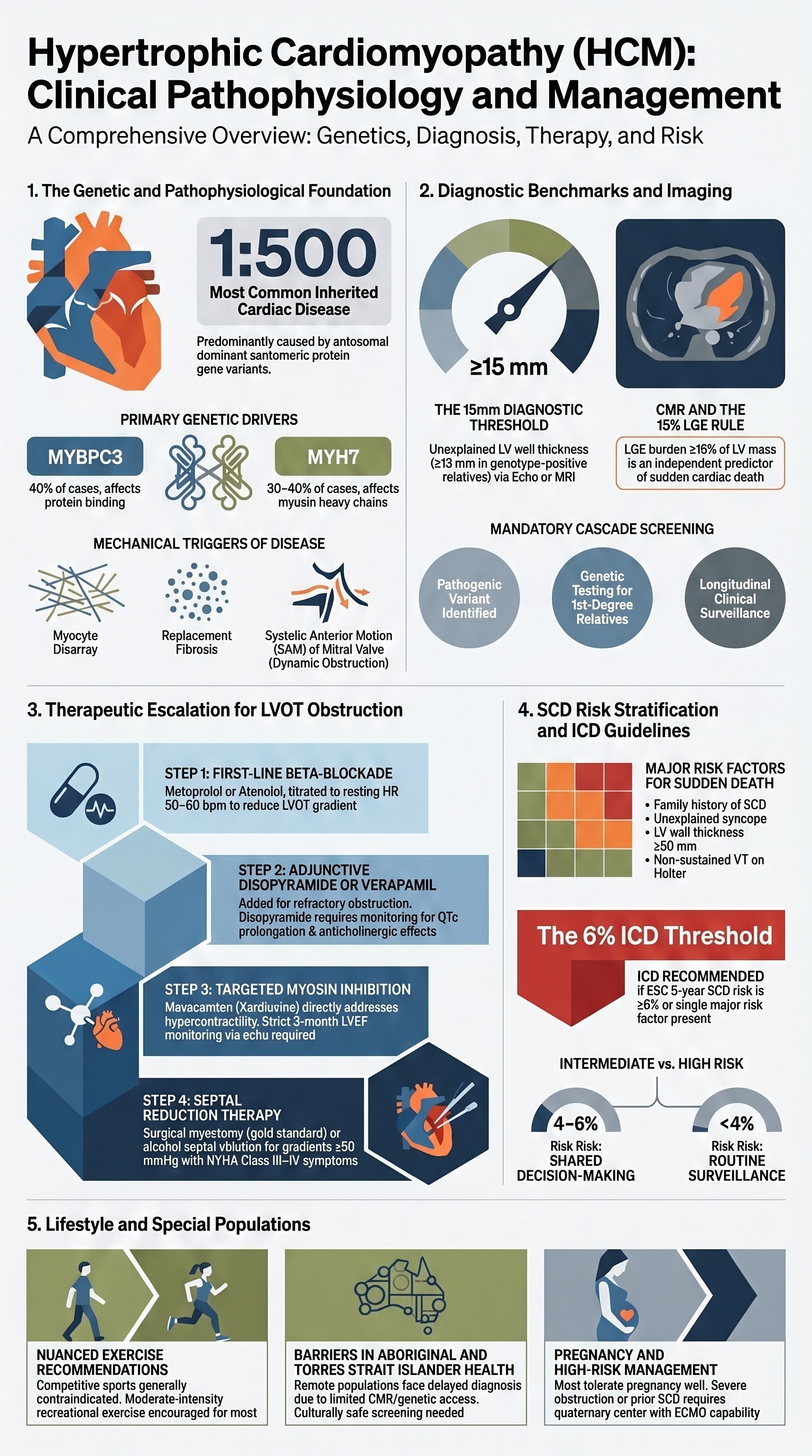 Hypertrophic Cardiomyopathy (HCM) visual summary infographic