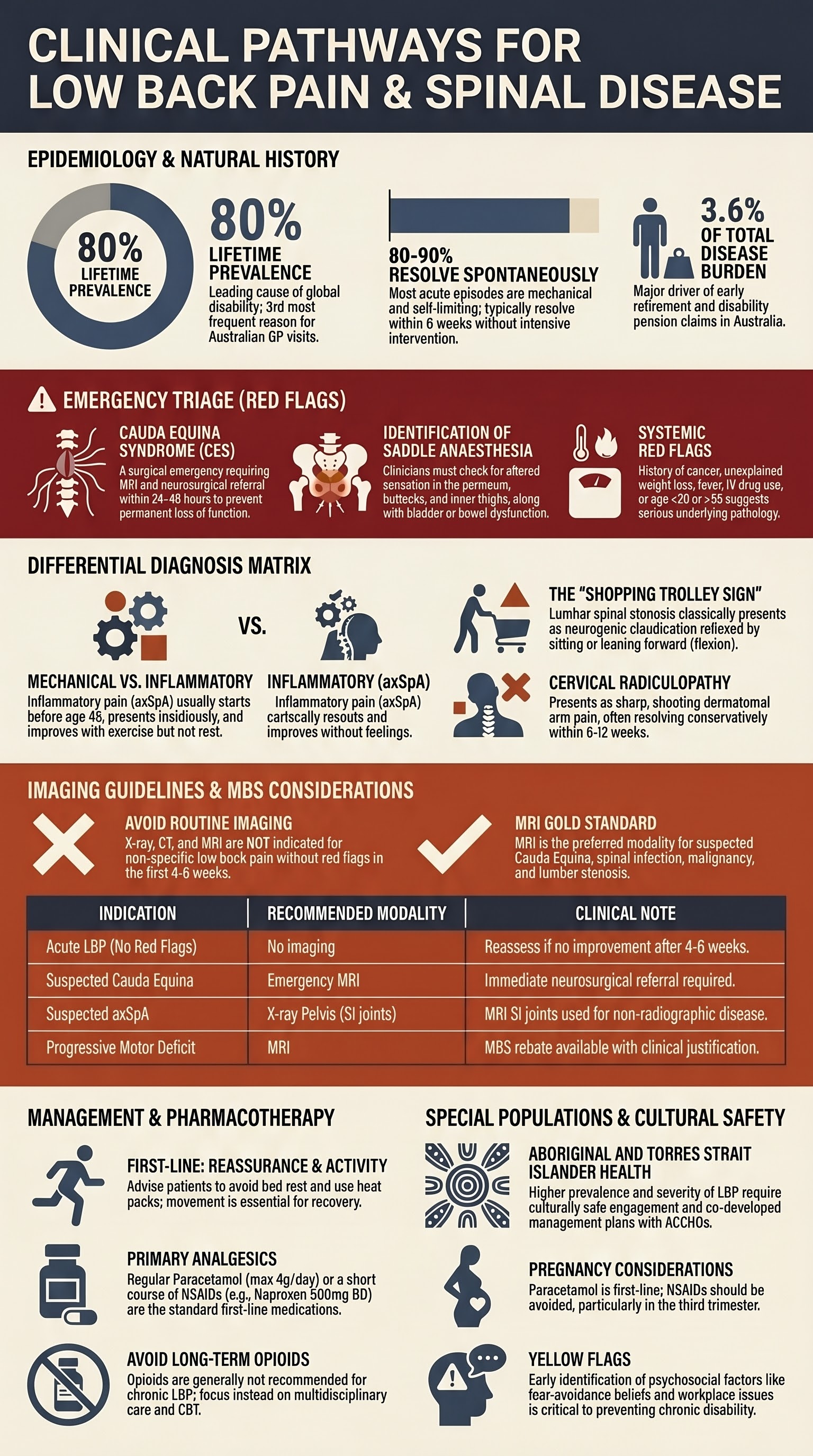Low Back Pain and Spinal Disease visual summary infographic