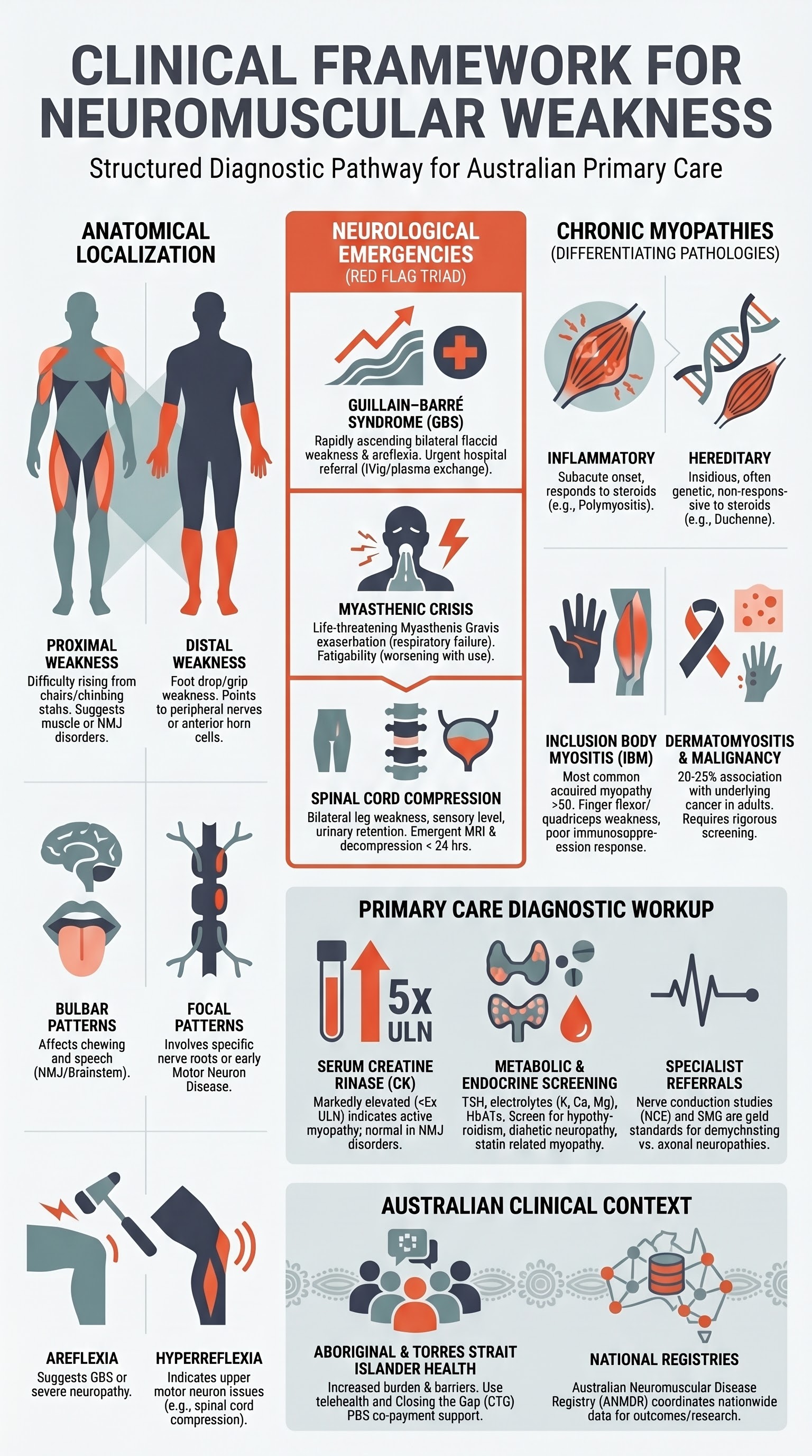 Neuromuscular Weakness visual summary infographic