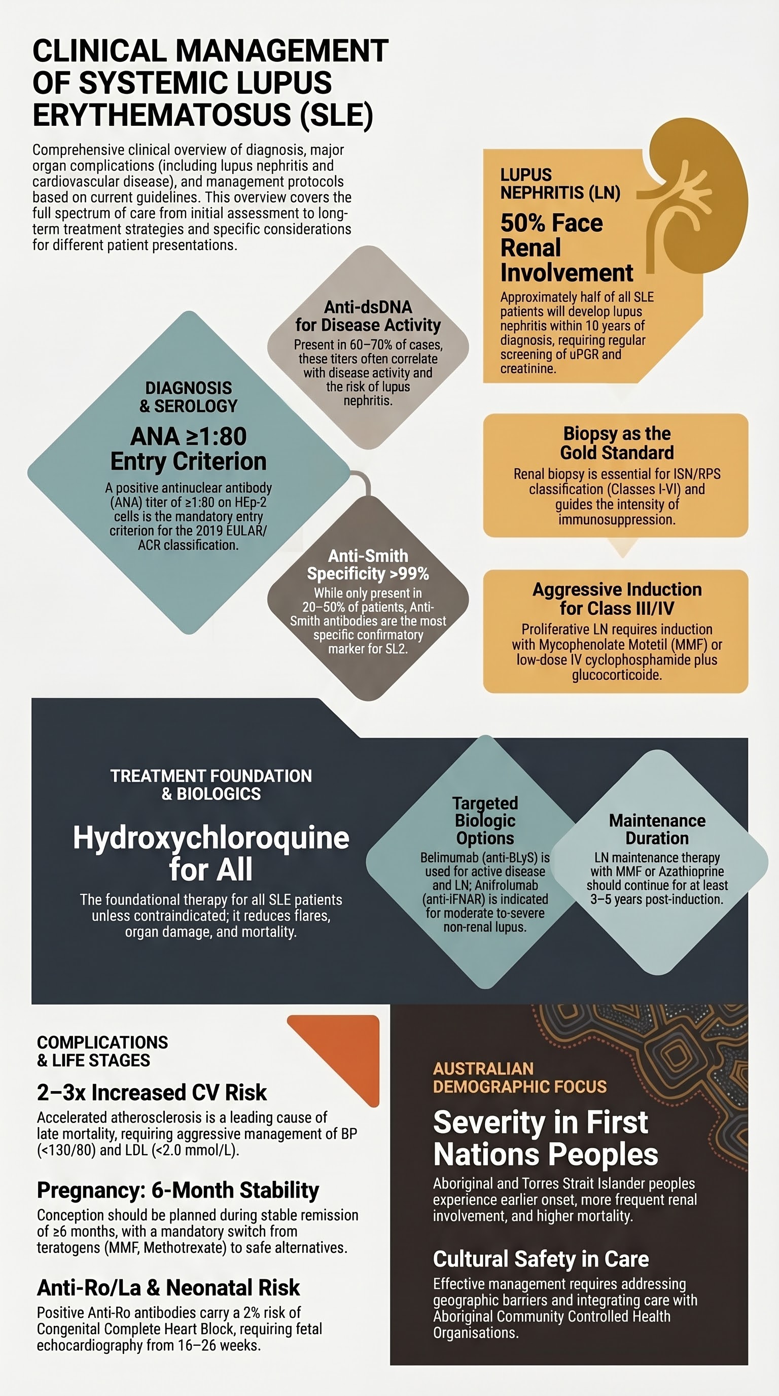 Systemic Lupus Erythematosus visual summary infographic